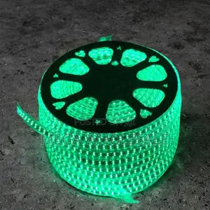Vivid 50M Metres SMD Color Green Led Strip Light Snake Light