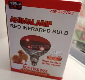 Chicken Brooding Heat Lamp for Chicks