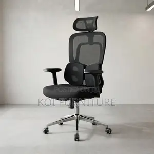 Office Chairs; Padded High Back Orthopedic Office Black Seat