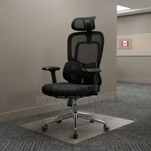 Office Chairs; Padded High Back Orthopedic Office Black Seat