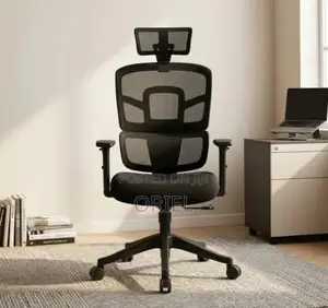 Ergonomic Orthopedic Office Chair : Office Workstation Chair