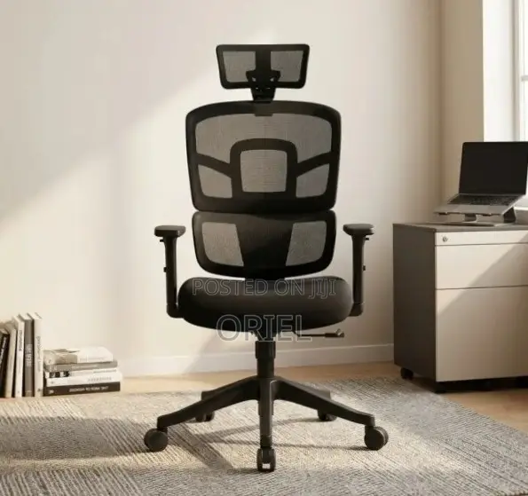 Ergonomic Orthopedic Office Chair : Office Workstation Chair