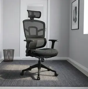 Ergonomic Orthopedic Office Chair : Office Workstation Chair