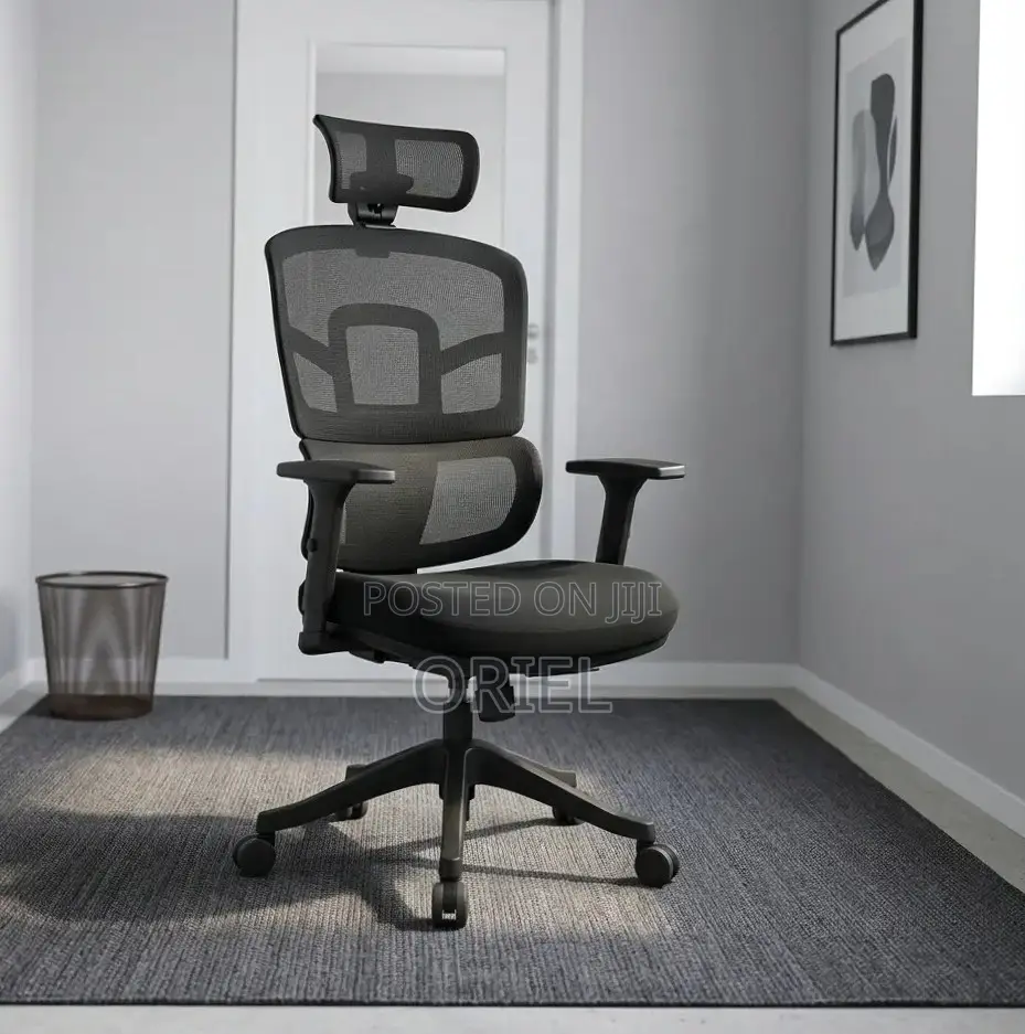 Ergonomic Orthopedic Office Chair : Office Workstation Chair