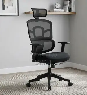 Ergonomic Orthopedic Office Chair : Office Workstation Chair