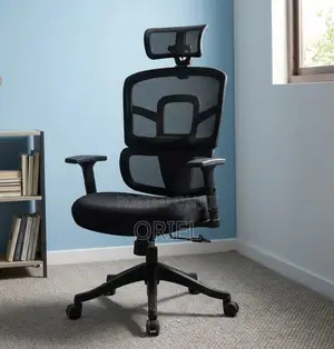 Ergonomic Orthopedic Office Chair : Office Workstation Chair