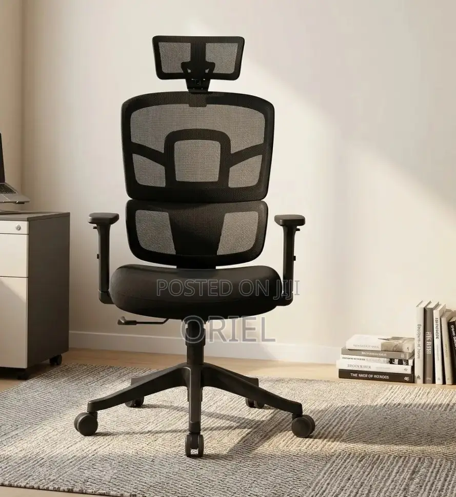 Ergonomic Orthopedic Office Chair : Office Workstation Chair