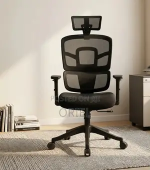 Ergonomic Orthopedic Office Chair : Office Workstation Chair