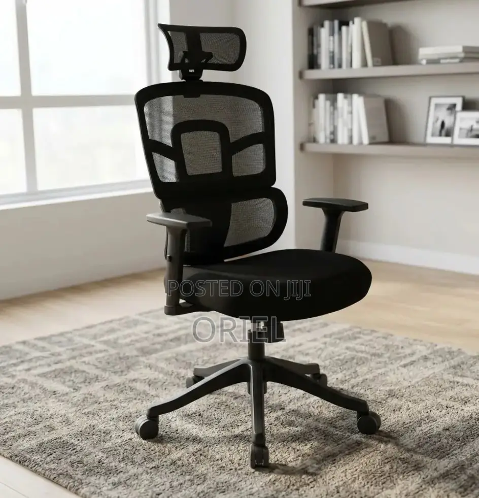 Ergonomic Orthopedic Office Chair : Office Workstation Chair