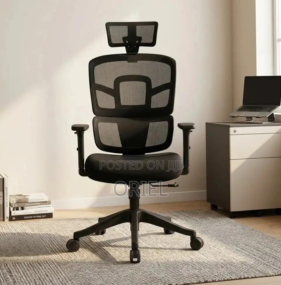 Ergonomic Orthopedic Office Chair : Office Workstation Chair