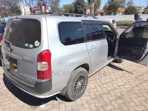 Toyota Probox 2013 Silver