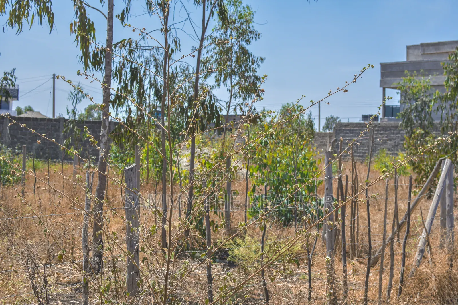 Kamulu Plot for Sale