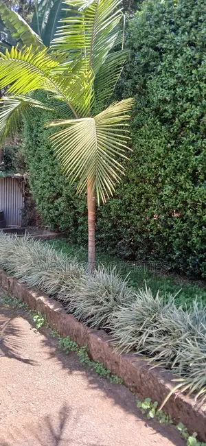 4bdrm House in Kerarapon Drive, Karen C for rent