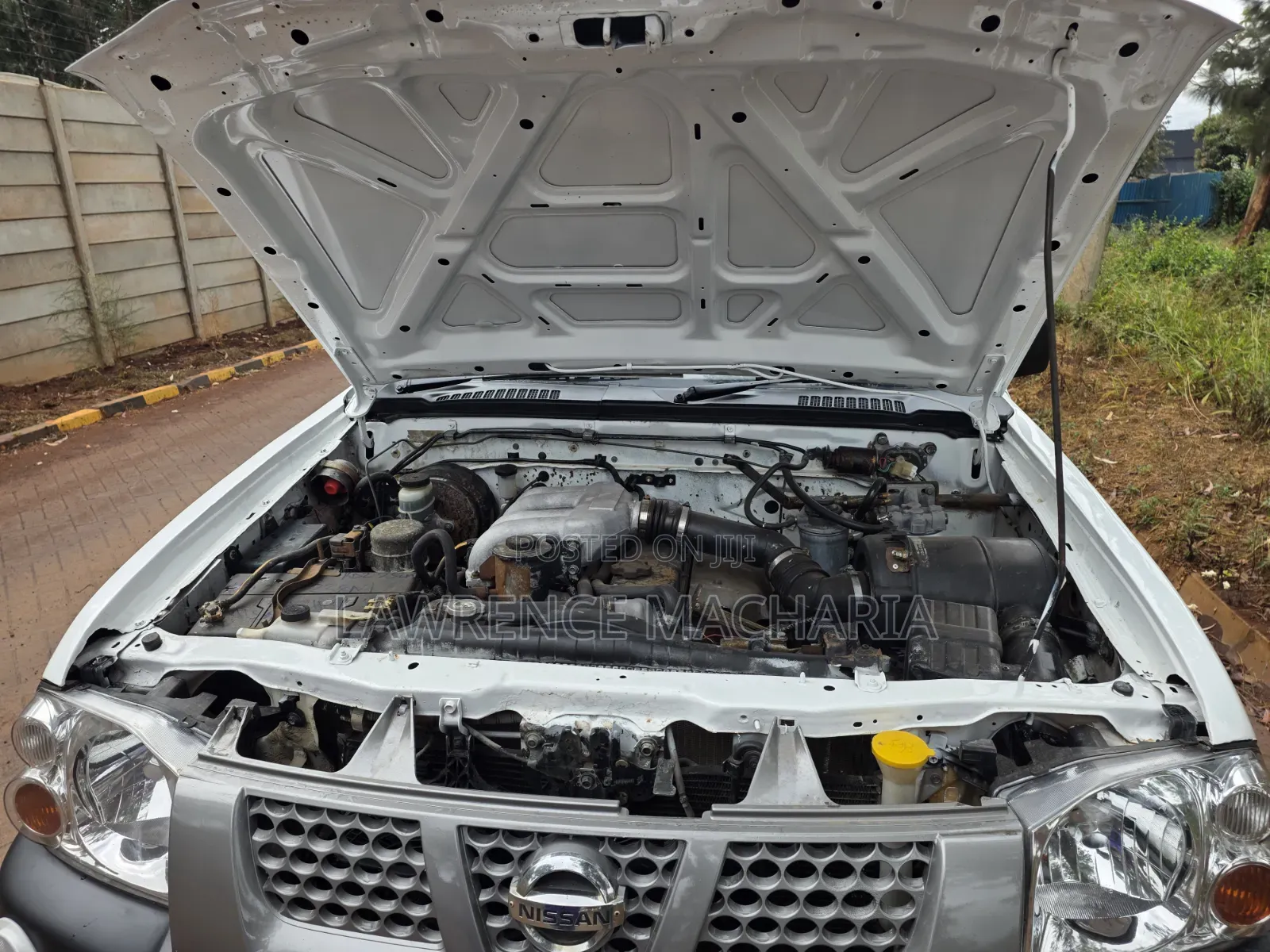 Nissan Hardbody 2012 White