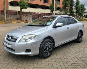 Toyota Axio 2008 Silver