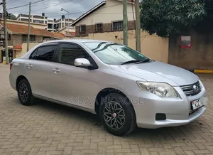 Toyota Axio 2008 Silver