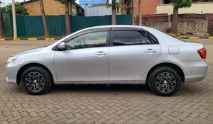 Toyota Axio 2008 Silver