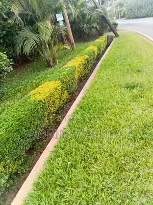 Gardening and Cleaning