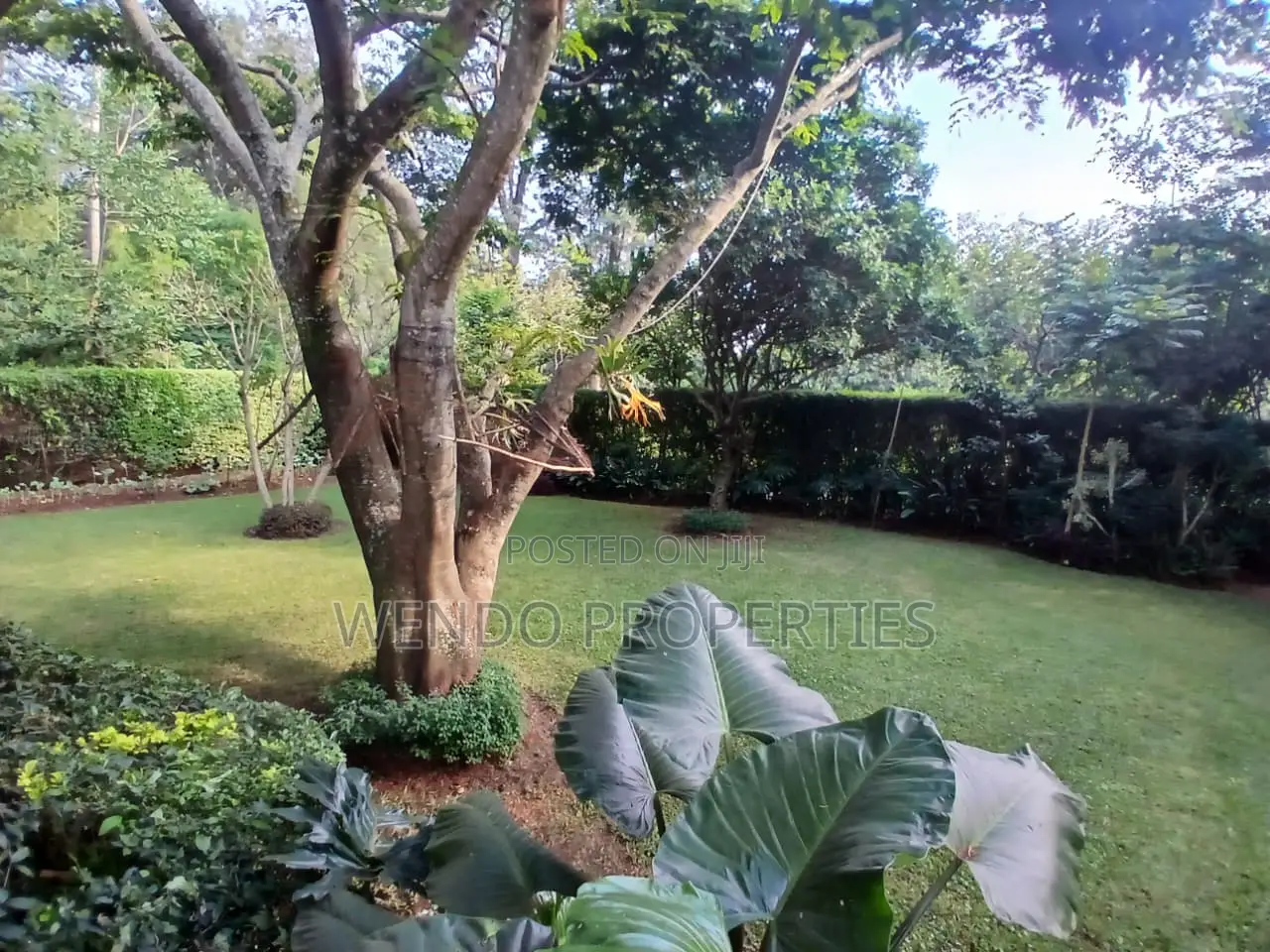 3bdrm Bungalow in Karen C for rent