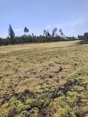 Makutano Project
