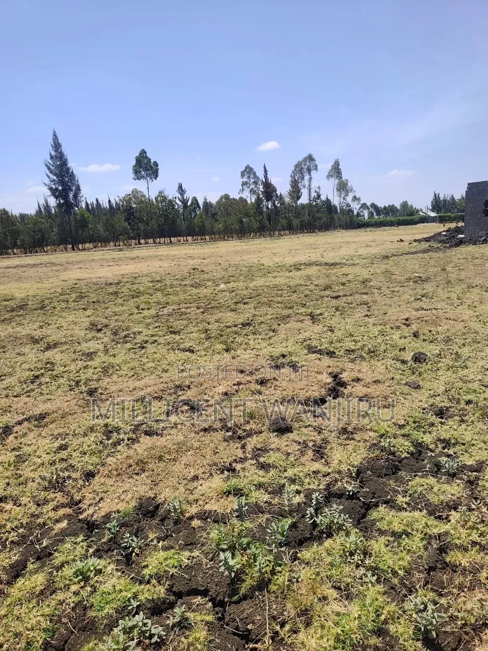 Makutano Project