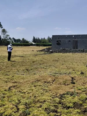 Makutano Project