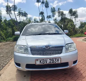 Toyota Corolla Fielder 1.5 Petrol FWD 2006 Silver