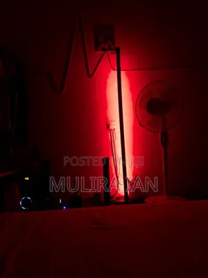 RGB Floor Lamps