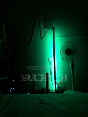 RGB Floor Lamps