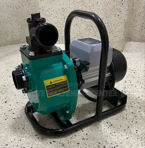 Solarpex 2-Inch Solar Water Pump