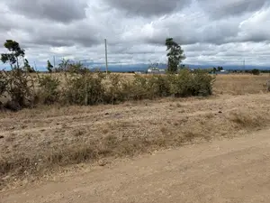 Prime 1/4 Acre Plot for Sale -Chaka