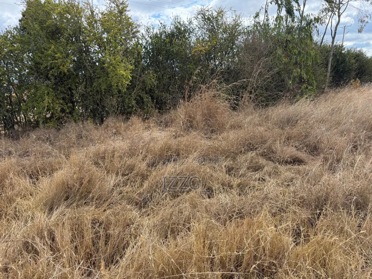Prime 1/4 Acre Plot for Sale -Chaka