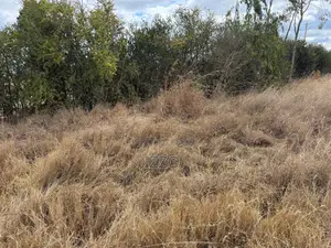 Prime 1/4 Acre Plot for Sale -Chaka