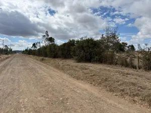 Prime 1/4 Acre Plot for Sale -Chaka