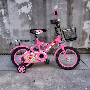 Vibrant 2-4 Years 12 Inch Size 12 Kids Bike Bicycle