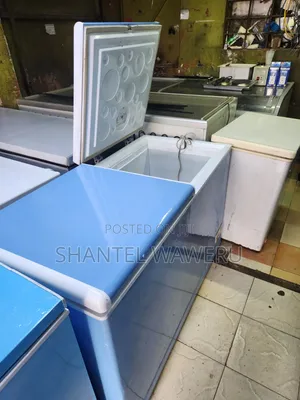 Double Door Blue Chest Freezer