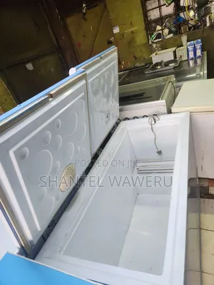 Double Door Blue Chest Freezer
