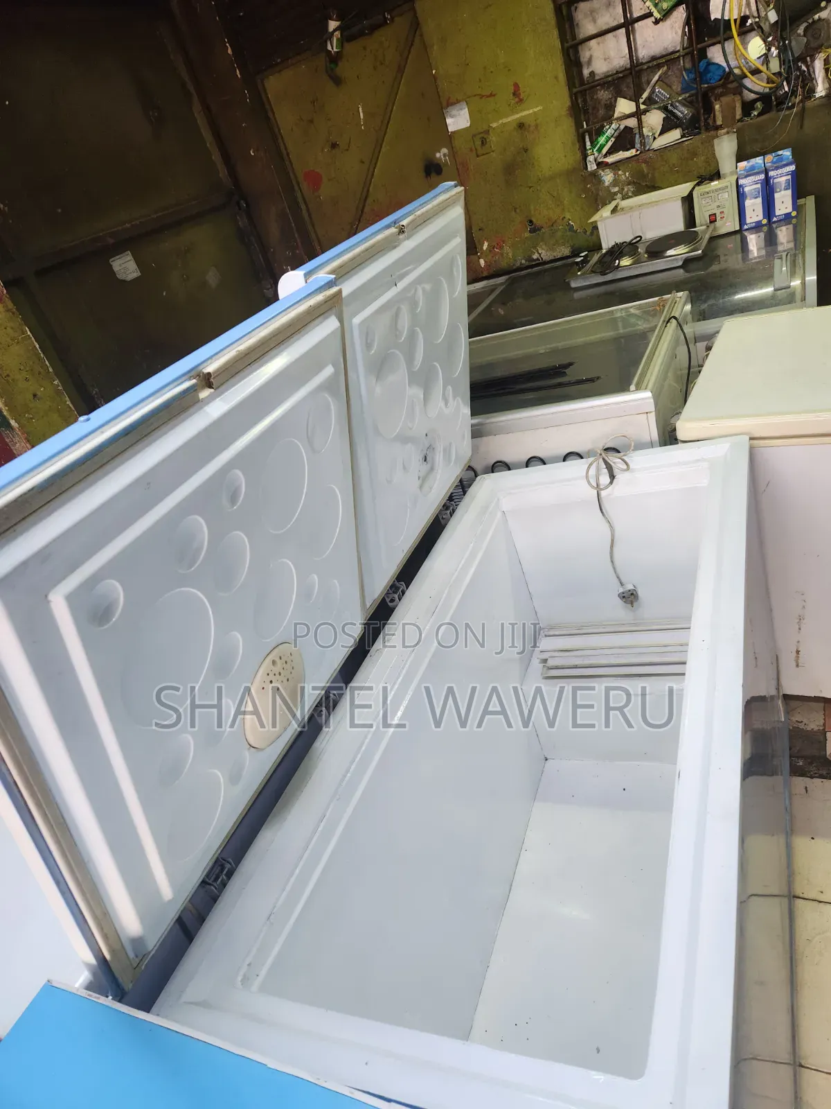 Double Door Blue Chest Freezer