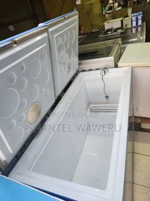 Double Door Blue Chest Freezer