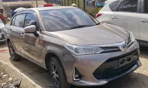 Toyota Axio 2018 Silver