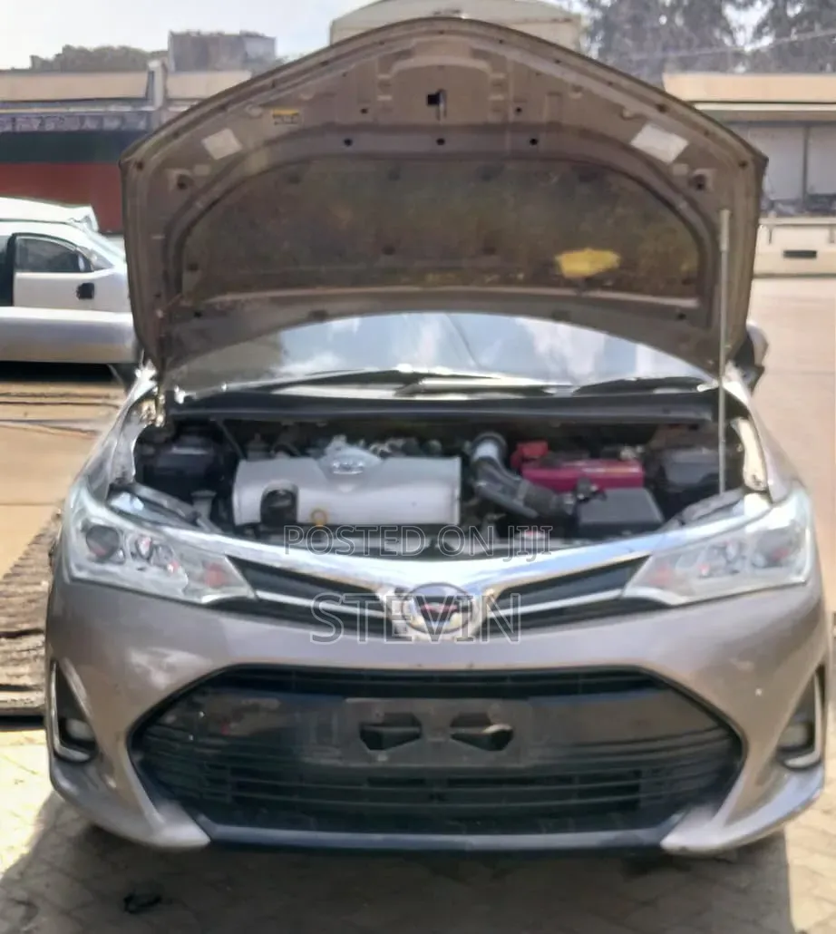 Toyota Axio 2018 Silver