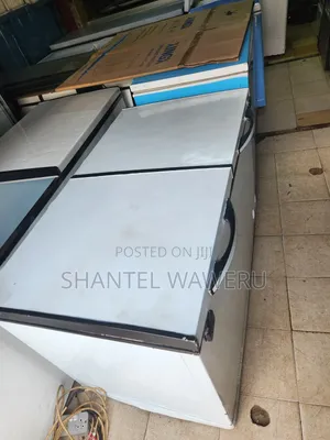 Double 2 Door Freezer 500litres