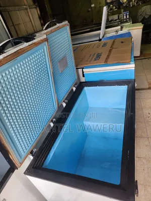 Double 2 Door Freezer 500litres