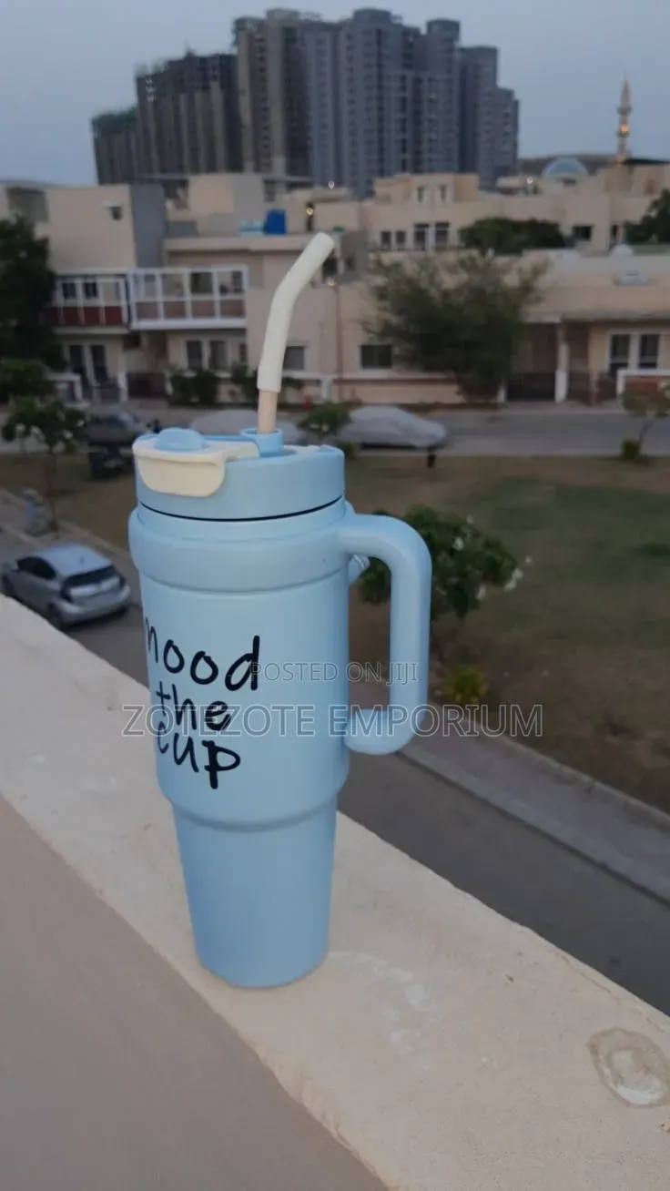 Mood Cup Stanley Mug
