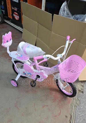 *Rb24902 Shengdi Bicycle Size 12*