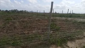 Plot for Sale