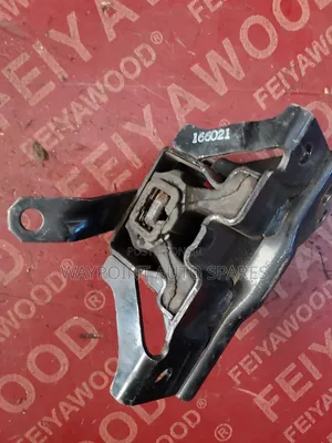 Gear Mount Susan Alto 2015