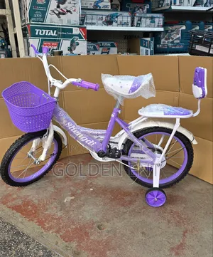 *Rb24903 Shengdi Bicycle Size 16*