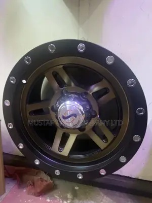 Rim Size 16