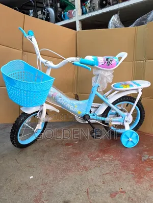 *Rb24900 Shengdi Bicycle Size 12*